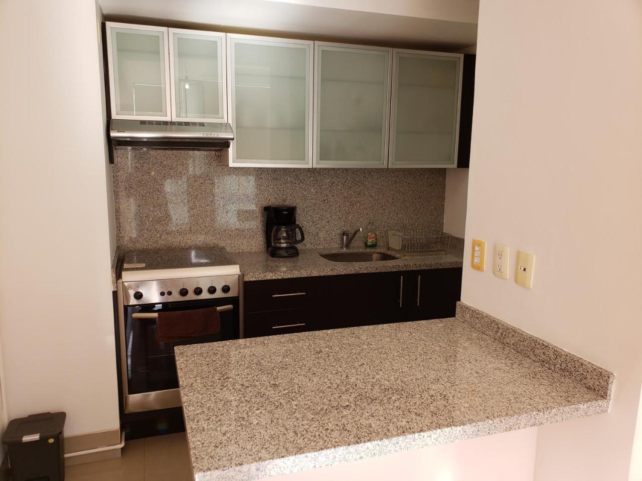 The New Puerta Alameda Luxury Lofts Leilighet Mexico by Eksteriør bilde
